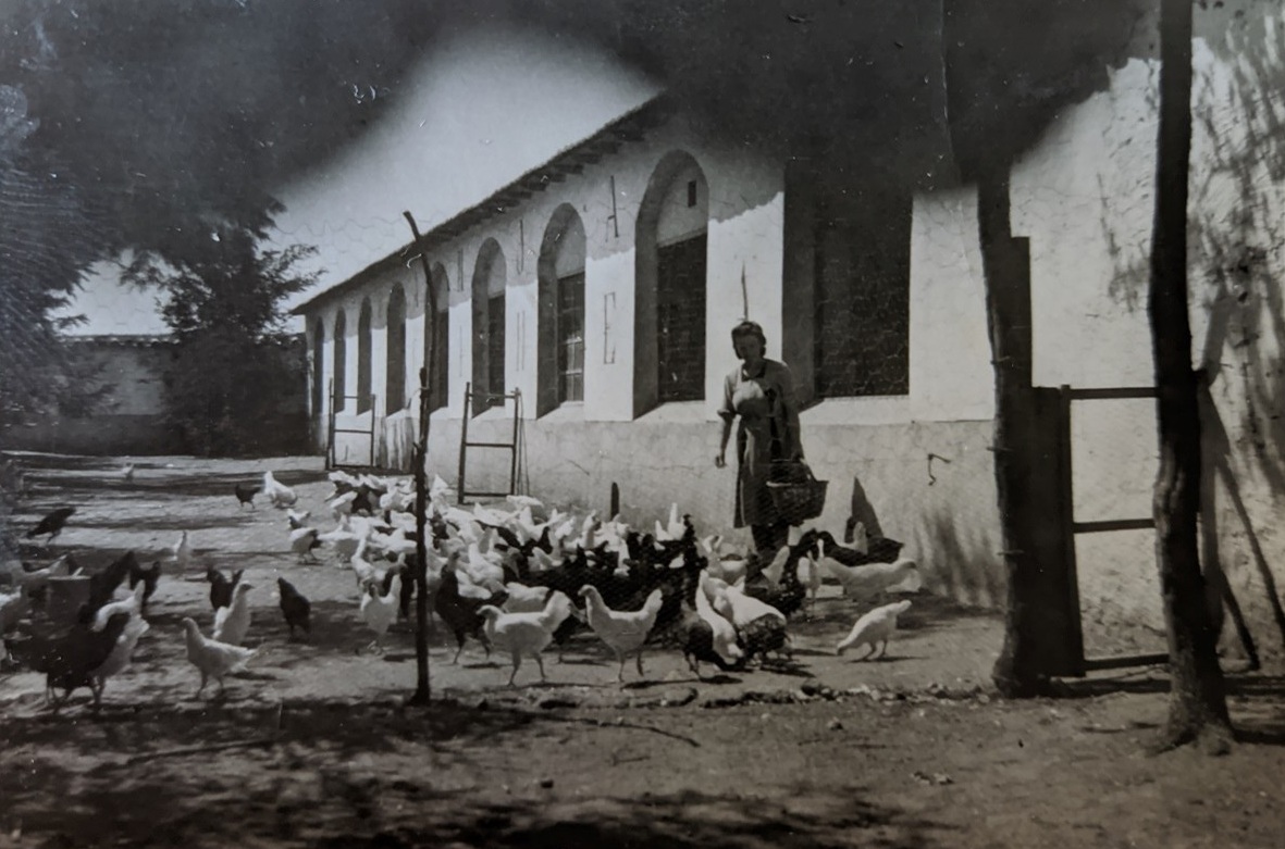 casasruraleseltoboso antigua granja